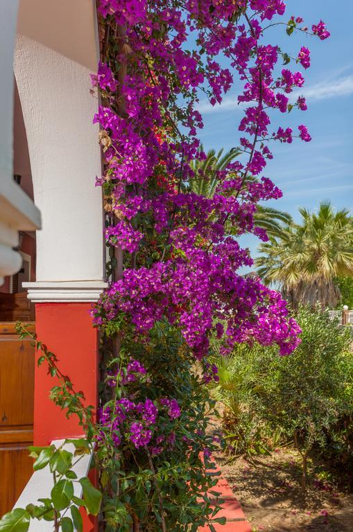 Tropical Studios Laganas
